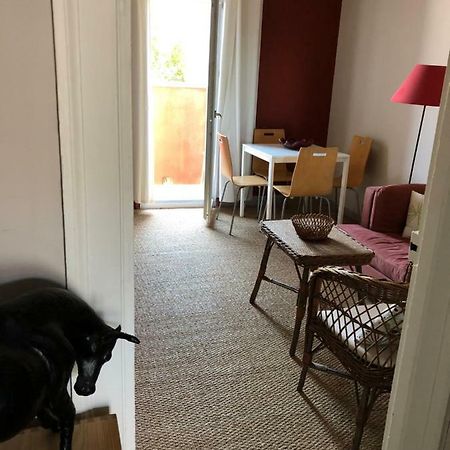 Appartement Hippolyte Монпелие Екстериор снимка